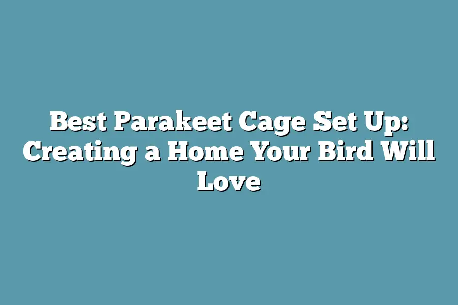Best Parakeet Cage Set Up: Creating a Home Your Bird Will Love