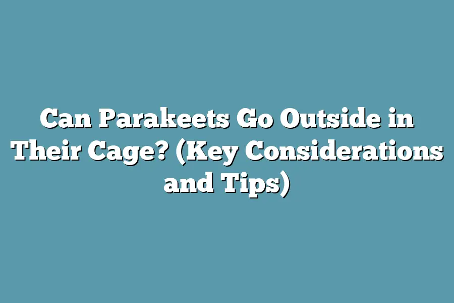 Can Parakeets Go Outside in Their Cage? (Key Considerations and Tips)