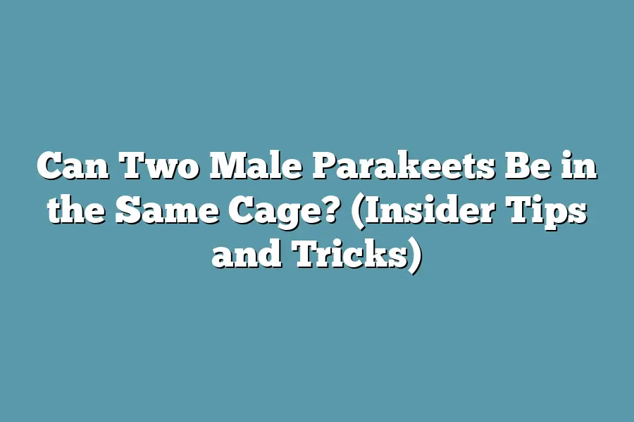 Can Two Male Parakeets Be in the Same Cage? (Insider Tips and Tricks)