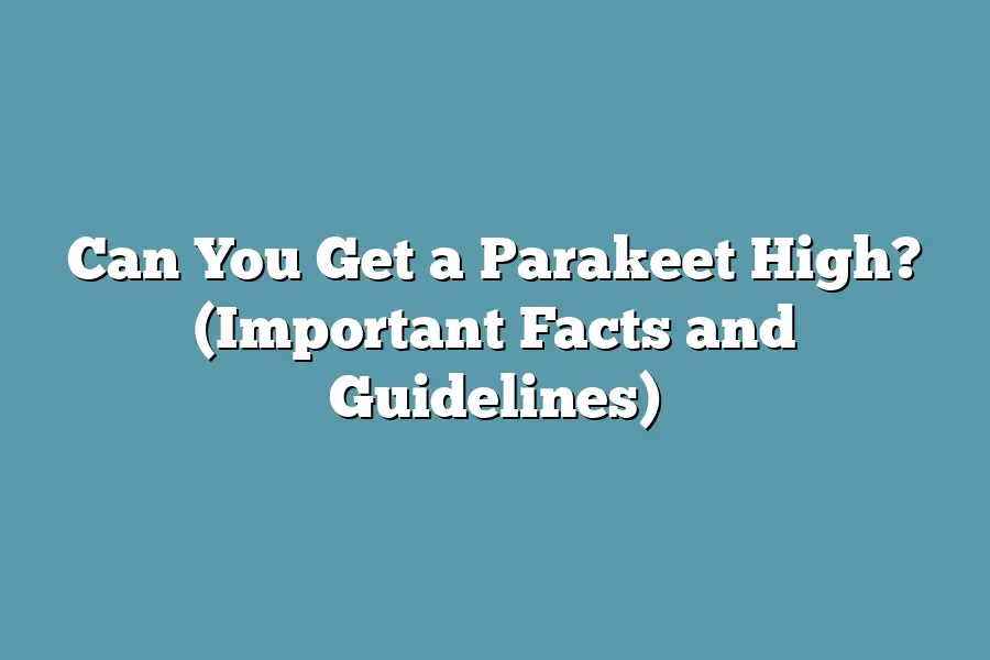 Can You Get a Parakeet High? (Important Facts and Guidelines)