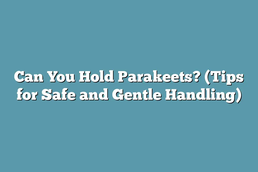 Can You Hold Parakeets? (Tips for Safe and Gentle Handling)