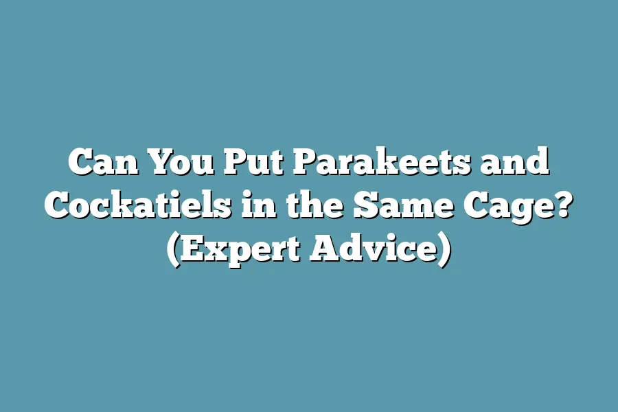 Can You Put Parakeets and Cockatiels in the Same Cage? (Expert Advice)