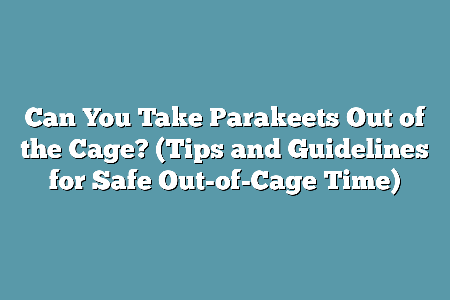 Can You Take Parakeets Out Of The Cage Tips And Guidelines For Safe Out Of Cage Time