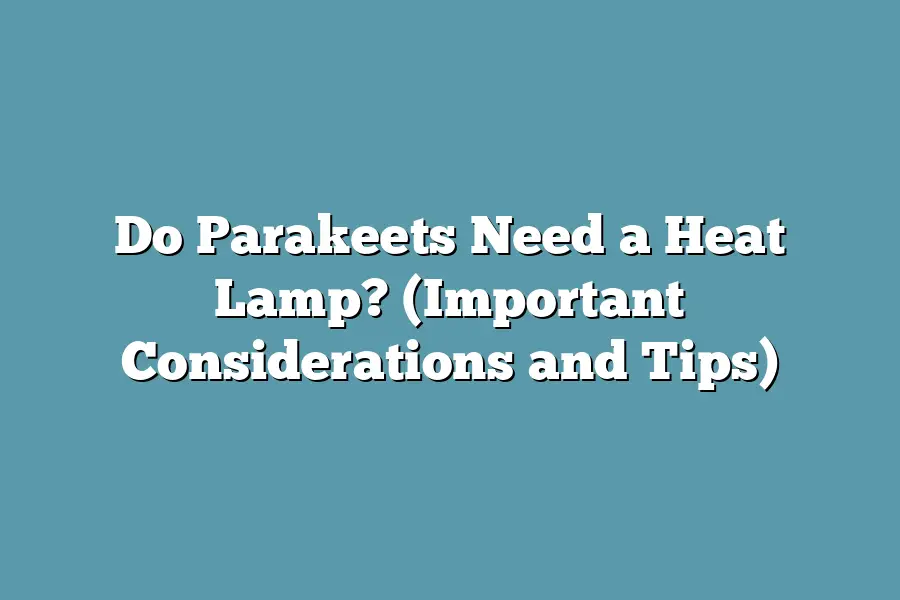 Do Parakeets Need a Heat Lamp? (Important Considerations and Tips)