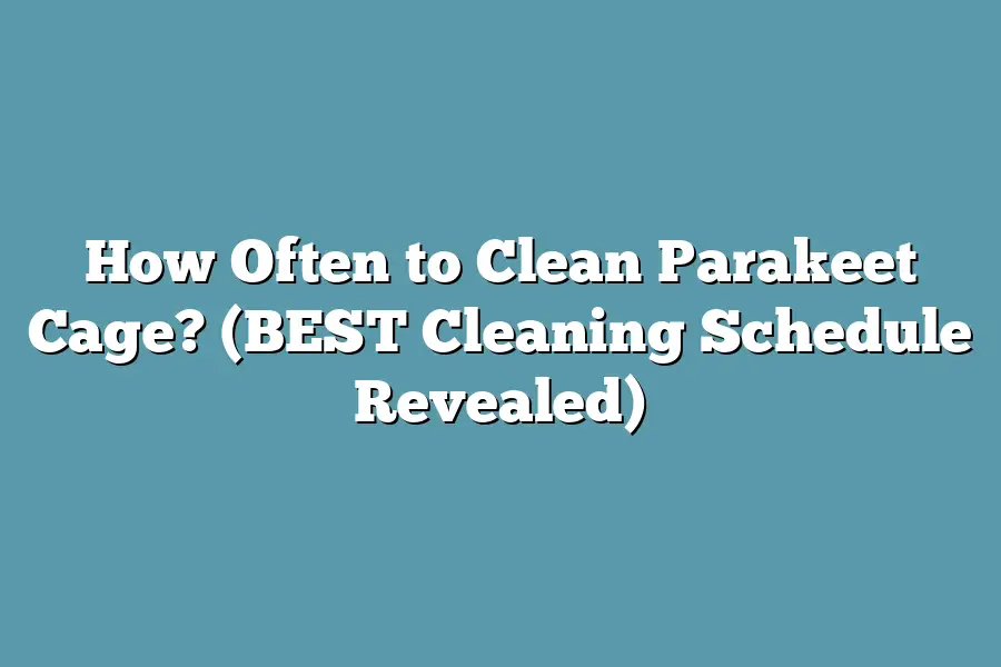 How Often to Clean Parakeet Cage? (BEST Cleaning Schedule Revealed)