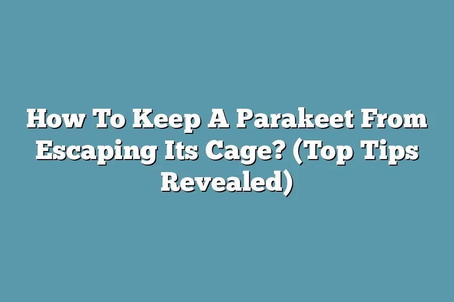 How To Keep A Parakeet From Escaping Its Cage? (Top Tips Revealed)