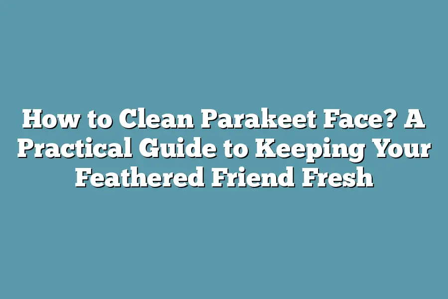 How to Clean Parakeet Face? A Practical Guide to Keeping Your Feathered Friend Fresh
