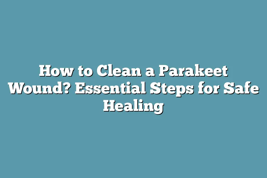 How to Clean a Parakeet Wound? Essential Steps for Safe Healing