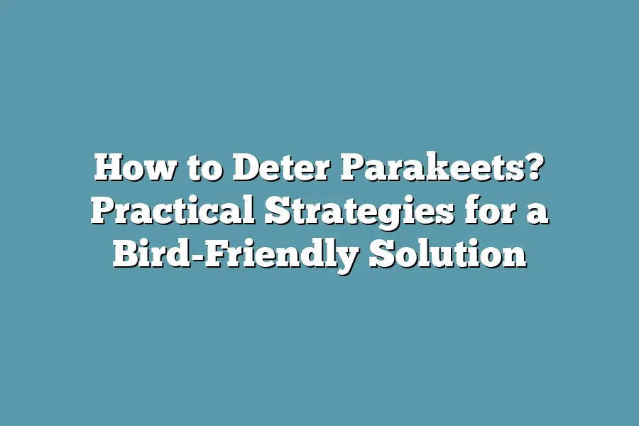 How to Deter Parakeets? Practical Strategies for a Bird-Friendly Solution