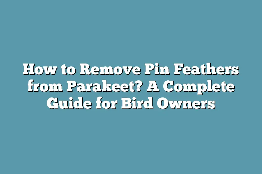 How to Remove Pin Feathers from Parakeet? A Complete Guide for Bird Owners