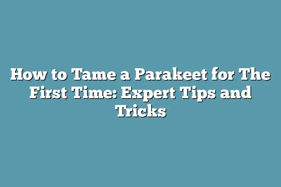 How to Tame a Parakeet for The First Time: Expert Tips and Tricks