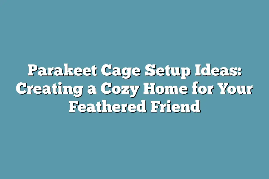 Parakeet Cage Setup Ideas: Creating a Cozy Home for Your Feathered Friend