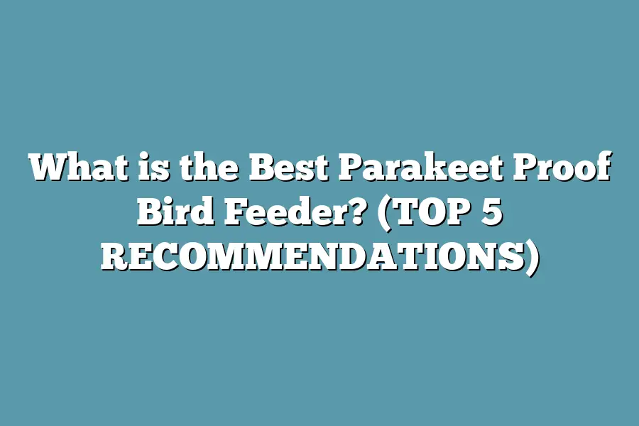 What is the Best Parakeet Proof Bird Feeder? (TOP 5 RECOMMENDATIONS)
