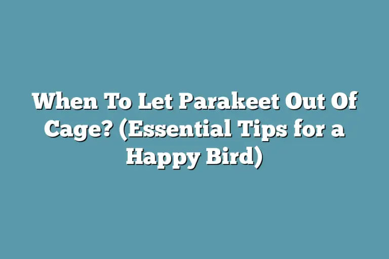 When To Let Parakeet Out Of Cage? (Essential Tips for a Happy Bird