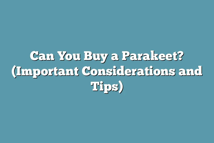 Can You Buy a Parakeet? (Important Considerations and Tips)