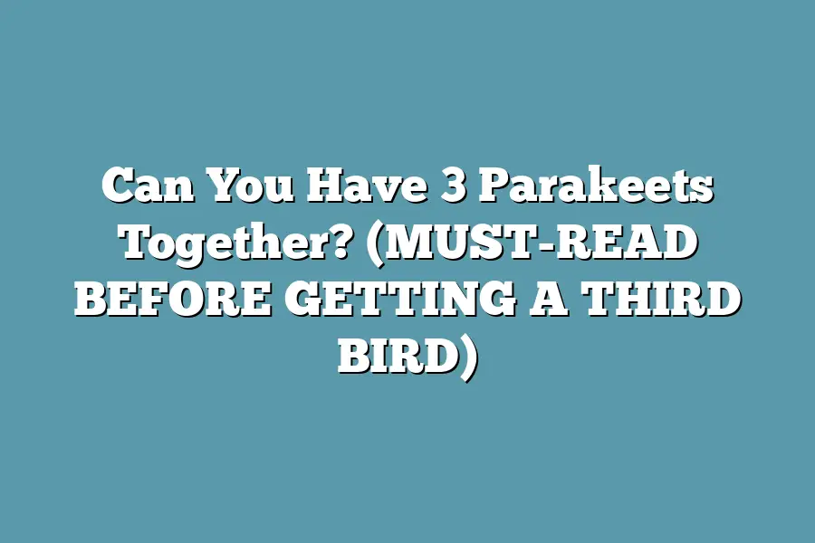 Can You Have 3 Parakeets Together? (MUST-READ BEFORE GETTING A THIRD BIRD)