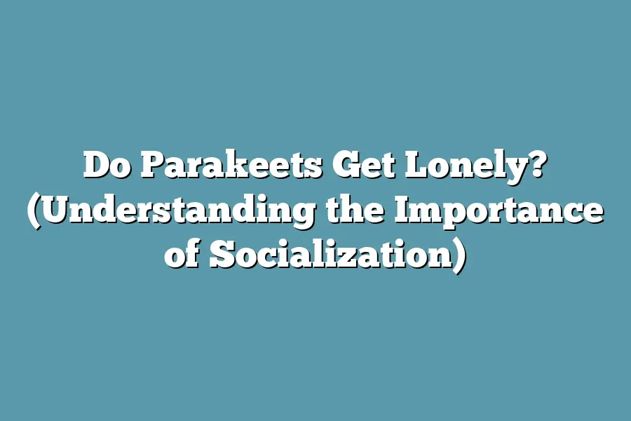 Do Parakeets Get Lonely? (Understanding the Importance of Socialization)