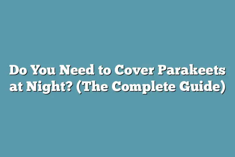 Do You Need to Cover Parakeets at Night? (The Complete Guide