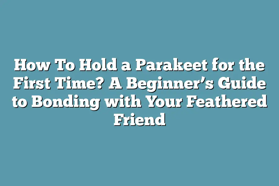 How To Hold a Parakeet for the First Time? A Beginner’s Guide to Bonding with Your Feathered Friend