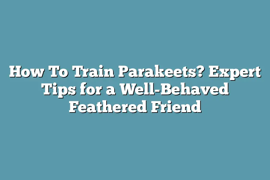 How To Train Parakeets? Expert Tips for a Well-Behaved Feathered Friend