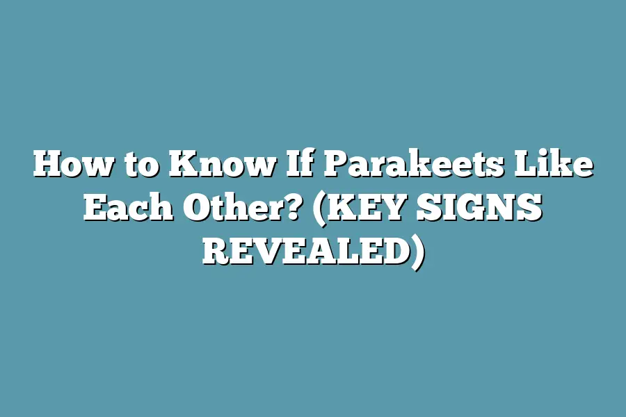 How to Know If Parakeets Like Each Other? (KEY SIGNS REVEALED)
