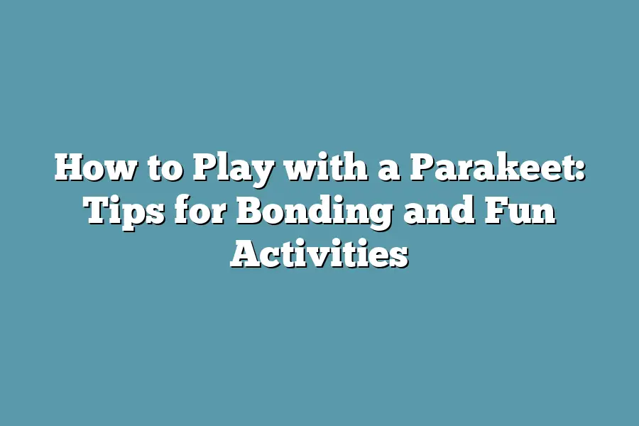 How to Play with a Parakeet: Tips for Bonding and Fun Activities