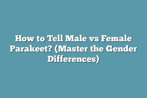 How to Tell Male vs Female Parakeet? (Master the Gender Differences