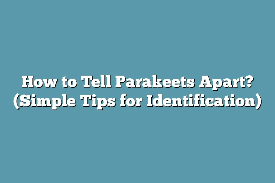 How to Tell Parakeets Apart? (Simple Tips for Identification)