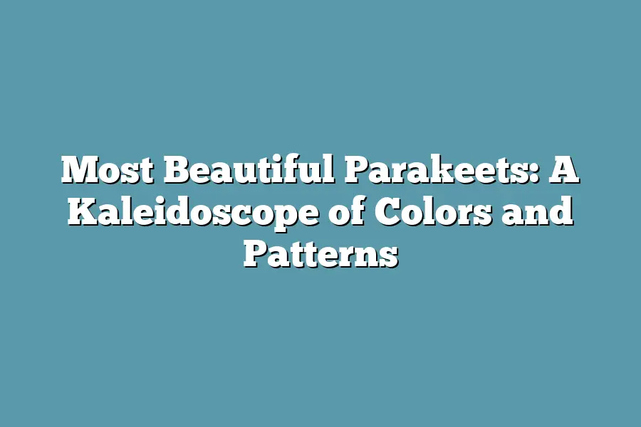 Most Beautiful Parakeets: A Kaleidoscope of Colors and Patterns