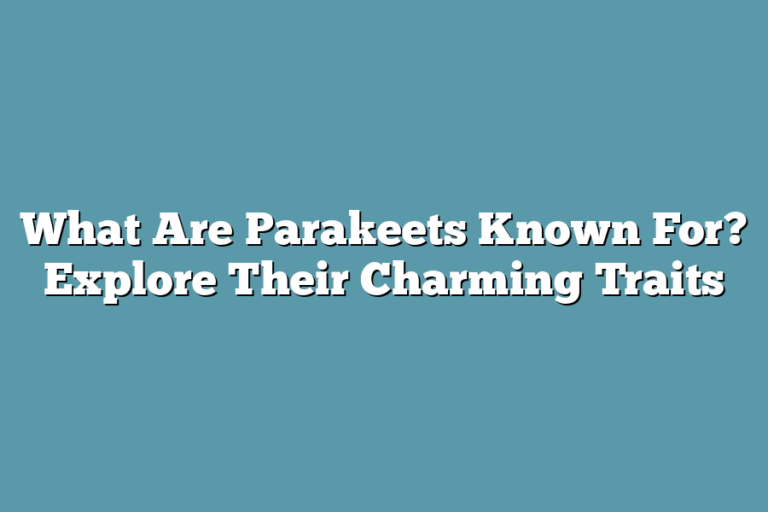 What Are Parakeets Known For? Explore Their Charming Traits ...