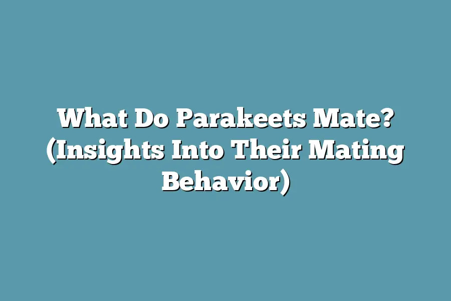 What Do Parakeets Mate? (Insights Into Their Mating Behavior)