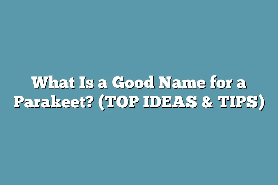 What Is a Good Name for a Parakeet? (TOP IDEAS & TIPS)