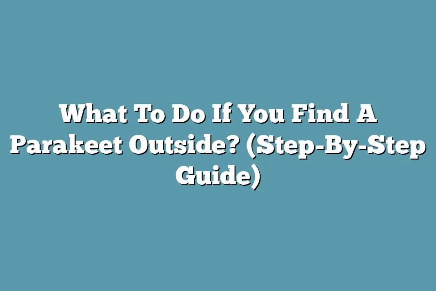 What To Do If You Find A Parakeet Outside? (Step-By-Step Guide)