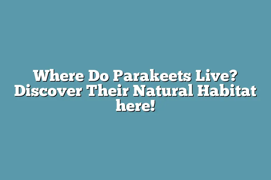 Where Do Parakeets Live? Discover Their Natural Habitat here!