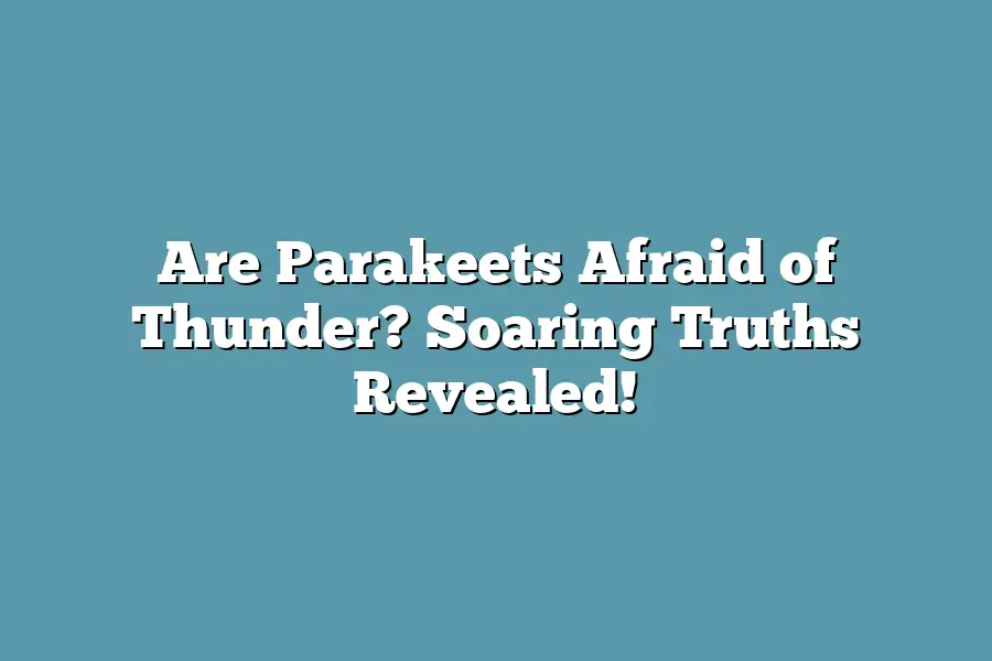 Are Parakeets Afraid of Thunder? Soaring Truths Revealed!