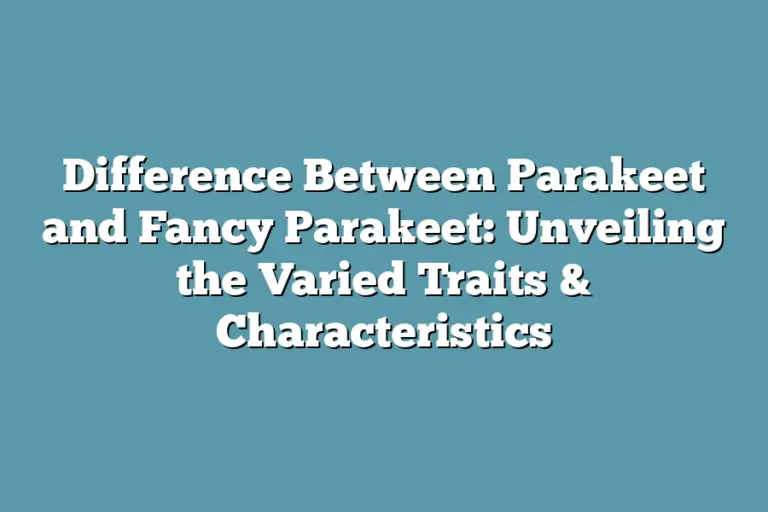 Difference Between Parakeet and Fancy Parakeet: Unveiling the Varied ...