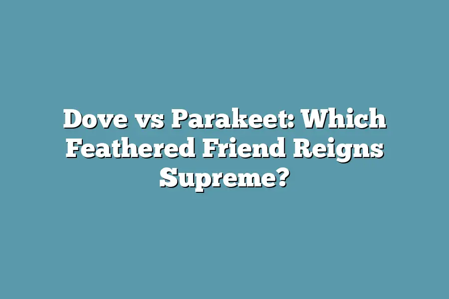 Dove vs Parakeet: Which Feathered Friend Reigns Supreme?