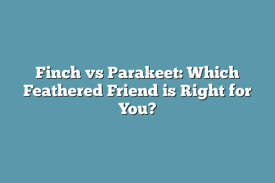 Finch vs Parakeet: Which Feathered Friend is Right for You?