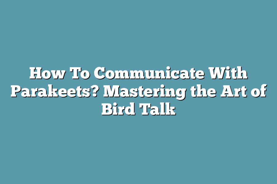How To Communicate With Parakeets? Mastering the Art of Bird Talk