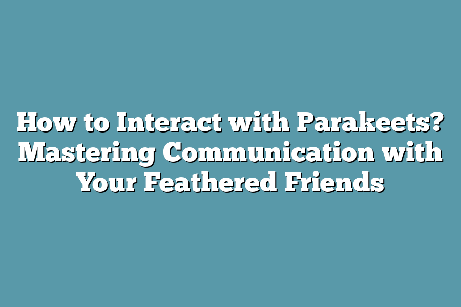 How to Interact with Parakeets? Mastering Communication with Your Feathered Friends