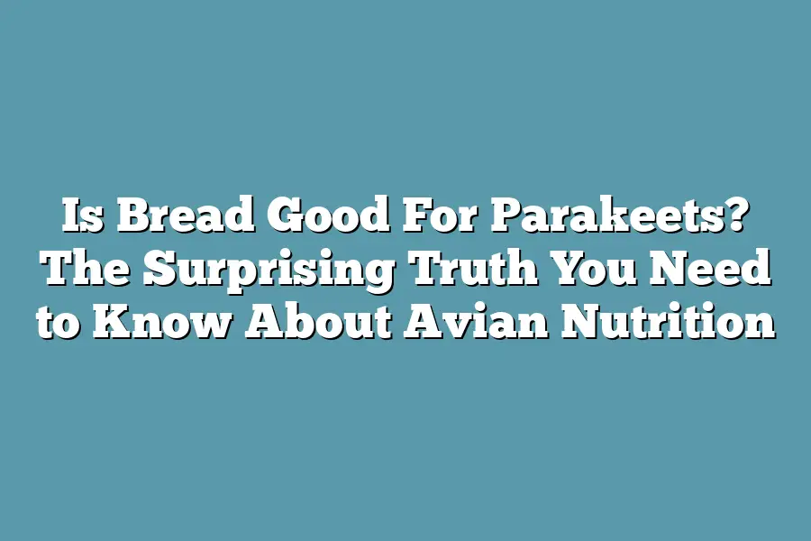 Is Bread Good For Parakeets? The Surprising Truth You Need to Know About Avian Nutrition