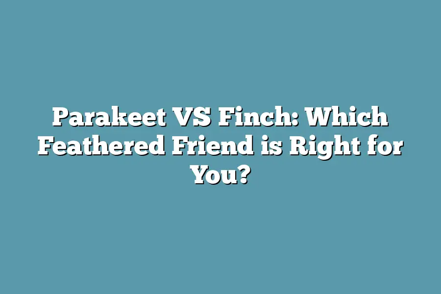 Parakeet VS Finch: Which Feathered Friend is Right for You?