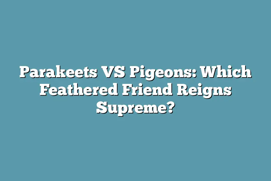 Parakeets VS Pigeons: Which Feathered Friend Reigns Supreme?