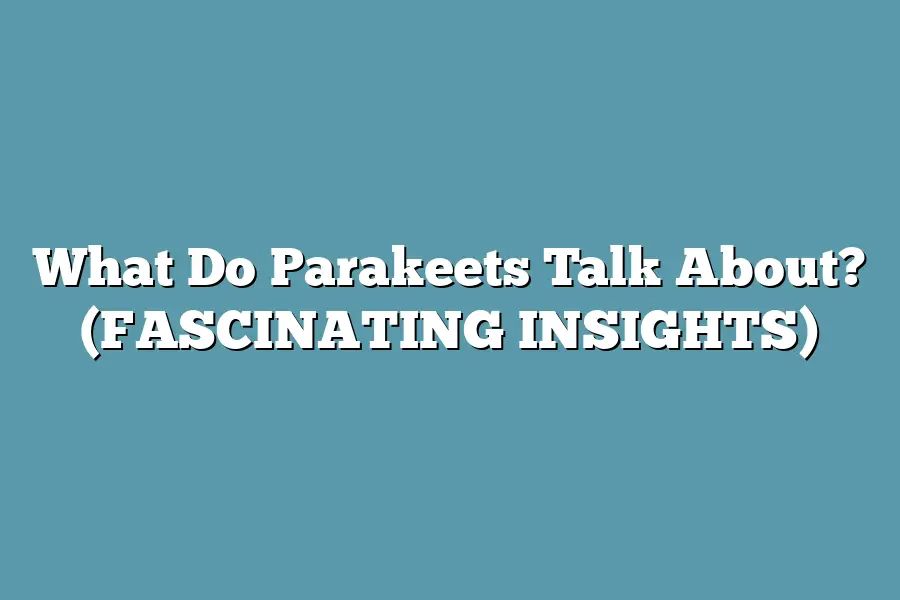 What Do Parakeets Talk About? (FASCINATING INSIGHTS)