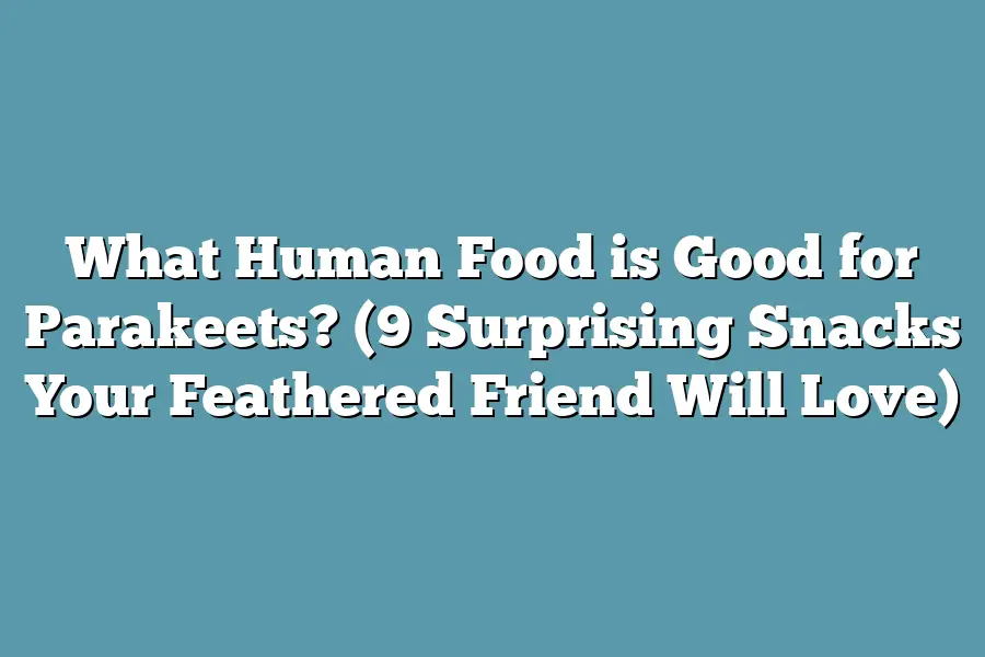 What Human Food is Good for Parakeets? (9 Surprising Snacks Your Feathered Friend Will Love)