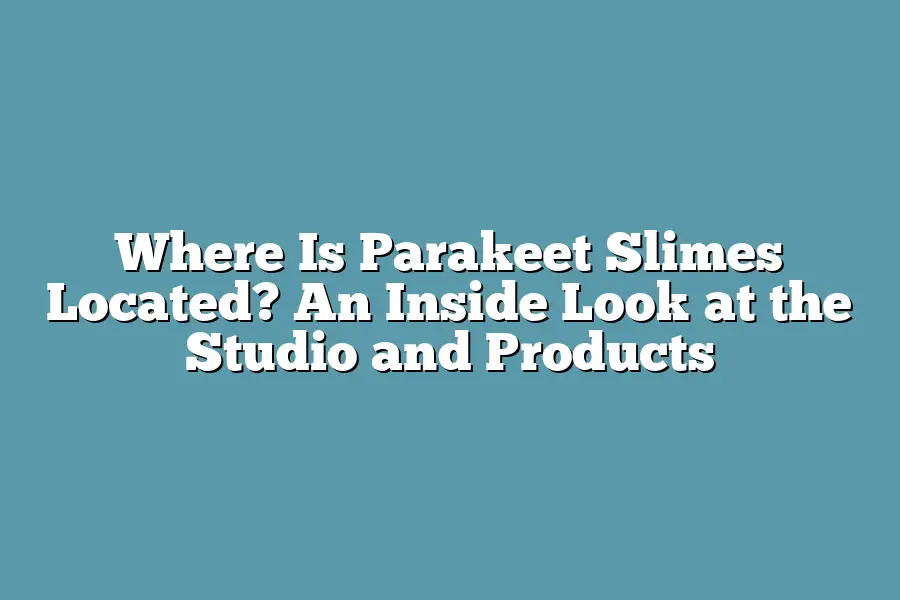 Where Is Parakeet Slimes Located? An Inside Look at the Studio and Products